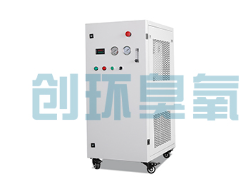 淮北石斑鱼养殖水质调控完整指南：臭氧发生器配置与操作步骤