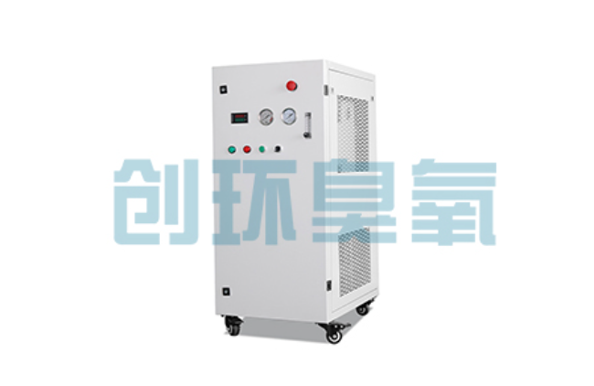 淮北比传统换水更高效？臭氧发生器在石斑鱼养殖中的水质净化原理解析