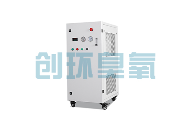 淮北比传统换水更高效?臭氧发生器在石斑鱼养殖中的水质净化原理解析